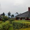 Kinigi Guest House - Image 3