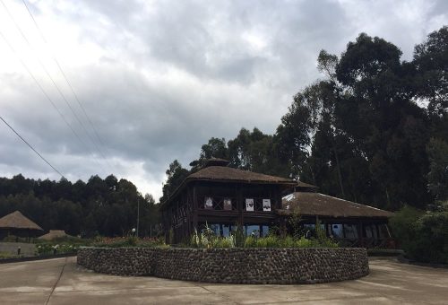 Da Vinci Gorilla Lodge